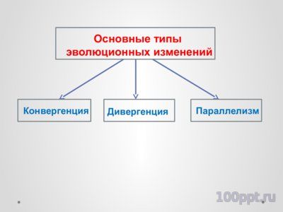 Презентация конвергенция, дивергенция и параллелизм - слайд 2 2 слайд презентации конвергенция, дивергенция и параллелизм