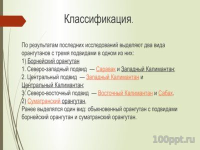 Презентация орангутаны - слайд 2 2 слайд презентации орангутаны