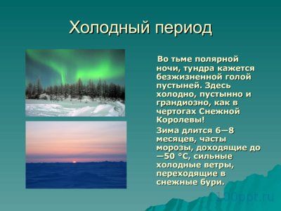 Презентация природная зона Тундра - слайд 7 7 слайд презентации природная зона Тундра