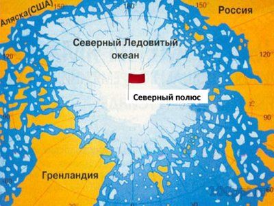 Презентация животные Арктики и Антарктиды - слайд 6 6 слайд презентации животные Арктики и Антарктиды