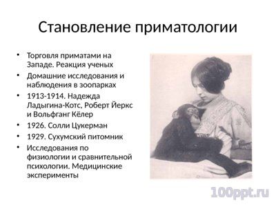 Презентация современные приматы - слайд 5 5 слайд презентации современные приматы