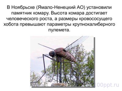 Презентация памятники насекомым - слайд 2 2 слайд презентации памятники насекомым