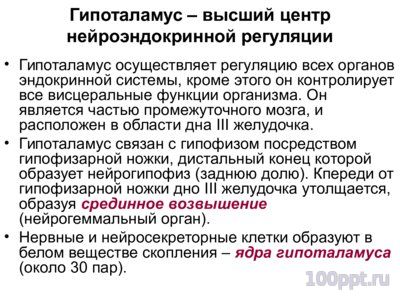Презентация эндокринная система - слайд 4 4 слайд презентации эндокринная система
