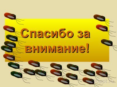 Презентация отдел золотистые водоросли - слайд 6 6 слайд презентации отдел золотистые водоросли