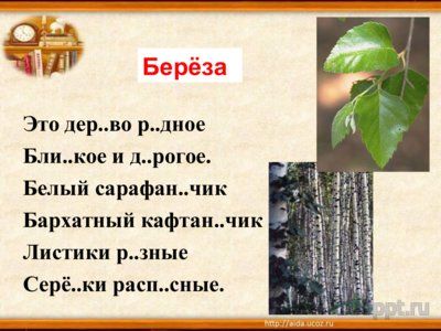 Презентация многозначность слова - слайд 5 5 слайд презентации многозначность слова