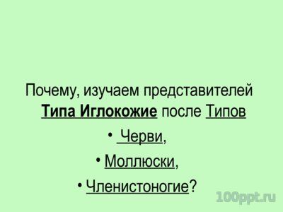 Презентация тип иглокожие - слайд 2 2 слайд презентации тип иглокожие