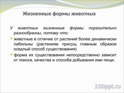 Презентация жизненные формы растений и животных - слайд 4 4 слайд презентации жизненные формы растений и животных