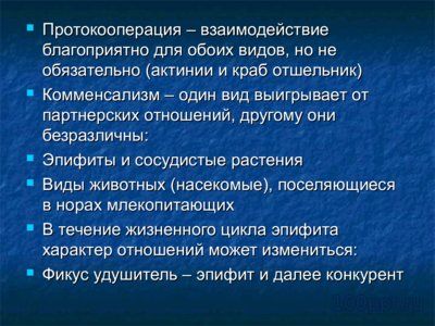 Презентация симбиоз - слайд 7 7 слайд презентации симбиоз