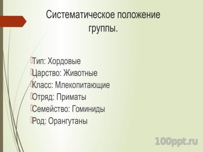 Презентация орангутаны - слайд 1 1 слайд презентации орангутаны