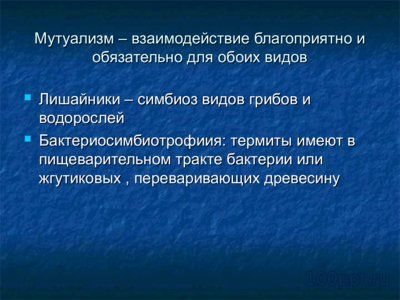 Презентация симбиоз - слайд 2 2 слайд презентации симбиоз