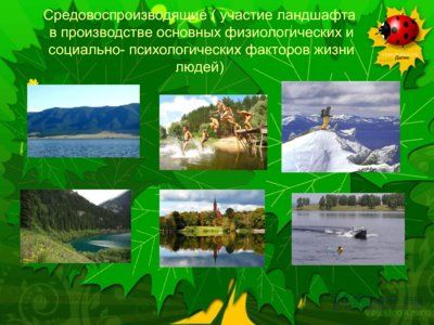 Презентация антропогенная нагрузка - слайд 4 4 слайд презентации антропогенная нагрузка
