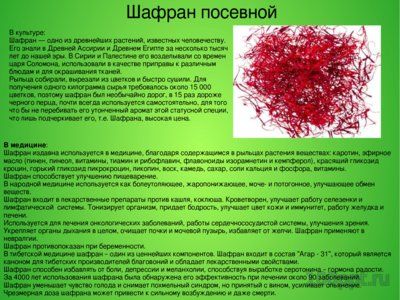 Презентация лекарственные и ядовитые растения среди специй - слайд 6 6 слайд презентации лекарственные и ядовитые растения среди специй