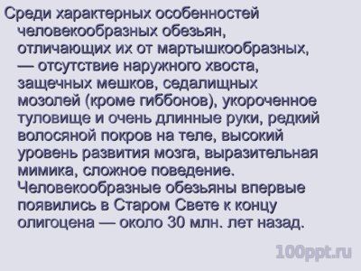 Презентация человекообразные обезьяны - слайд 2 2 слайд презентации человекообразные обезьяны