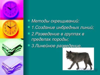 Презентация близкородственные скрещивания - слайд 7 7 слайд презентации близкородственные скрещивания