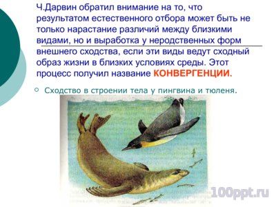 Презентация приспособительные формы организмов - слайд 7 7 слайд презентации приспособительные формы организмов