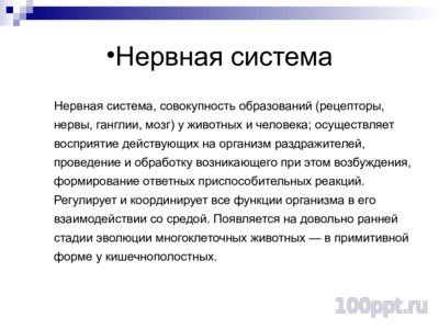 Презентация система органов человека - слайд 1 1 слайд презентации система органов человека