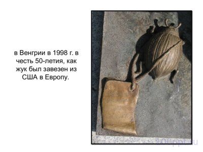 Презентация памятники насекомым - слайд 6 6 слайд презентации памятники насекомым