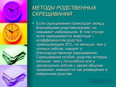 Презентация близкородственные скрещивания - слайд 6 6 слайд презентации близкородственные скрещивания