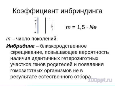 Презентация близкородственные скрещивания - слайд 8 8 слайд презентации близкородственные скрещивания