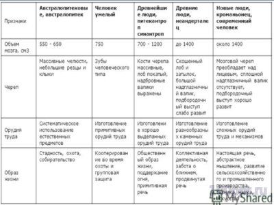 Презентация основные этапы эволюции приматов - слайд 5 5 слайд презентации основные этапы эволюции приматов