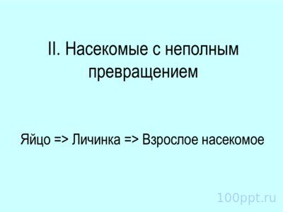 Презентация отряды насекомых с неполным превращением - слайд 4 4 слайд презентации отряды насекомых с неполным превращением