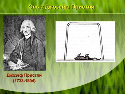 Презентация дыхание растений - слайд 4 4 слайд презентации дыхание растений