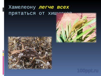 Презентация наречия - слайд 5 5 слайд презентации наречия
