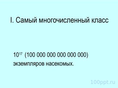 Презентация отряды насекомых с неполным превращением - слайд 2 2 слайд презентации отряды насекомых с неполным превращением