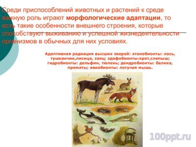 Презентация приспособительные формы организмов - слайд 1 1 слайд презентации приспособительные формы организмов