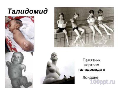 Презентация основные закономерностионтогенеза - слайд 12 12 слайд презентации основные закономерностионтогенеза