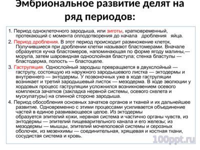Презентация эмбриональное развитие - слайд 3 3 слайд презентации эмбриональное развитие