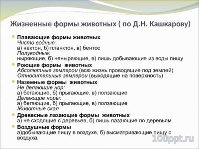Презентация жизненные формы растений и животных - слайд 7 7 слайд презентации жизненные формы растений и животных