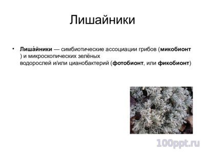 Презентация классификация растений - слайд 8 8 слайд презентации классификация растений