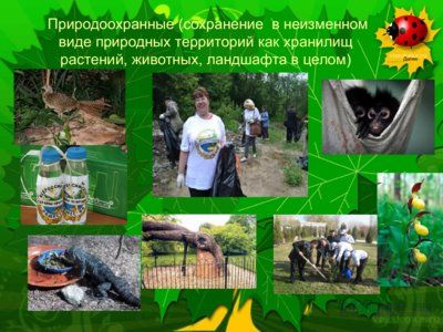 Презентация антропогенная нагрузка - слайд 5 5 слайд презентации антропогенная нагрузка