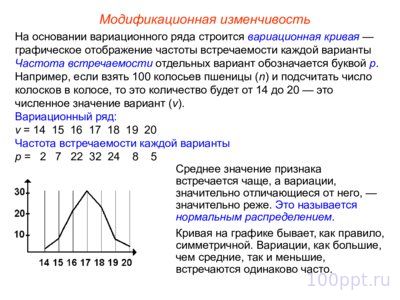 Презентация модификационная изменчивость - слайд 12 12 слайд презентации модификационная изменчивость
