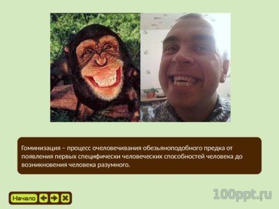 Презентация эволюция приматов - слайд 7 7 слайд презентации эволюция приматов