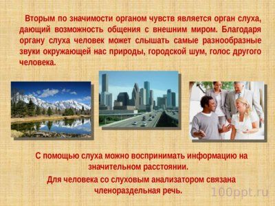 Презентация слуховой анализатор - слайд 1 1 слайд презентации слуховой анализатор