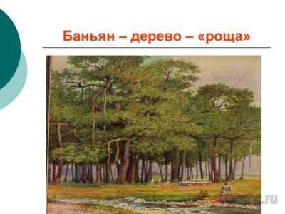 Презентация приспособительные формы организмов - слайд 9 9 слайд презентации приспособительные формы организмов