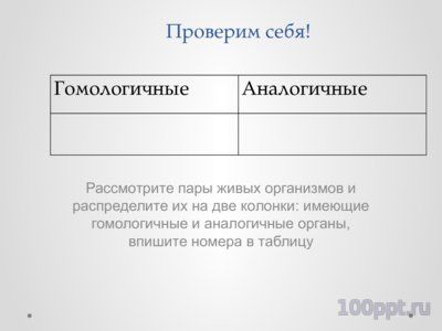 Презентация конвергенция, дивергенция и параллелизм - слайд 7 7 слайд презентации конвергенция, дивергенция и параллелизм