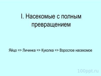 Презентация отряды насекомых с полным превращением - слайд 2 2 слайд презентации отряды насекомых с полным превращением