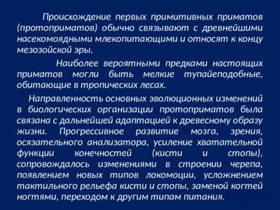 Презентация основные этапы эволюции приматов - слайд 6 6 слайд презентации основные этапы эволюции приматов