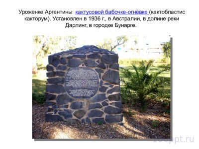 Презентация памятники насекомым - слайд 5 5 слайд презентации памятники насекомым