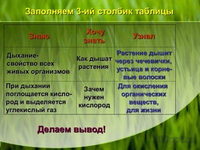Презентация дыхание растений - слайд 8 8 слайд презентации дыхание растений