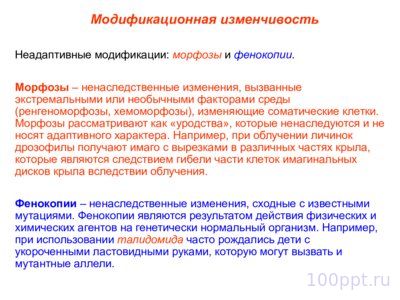 Презентация модификационная изменчивость - слайд 9 9 слайд презентации модификационная изменчивость