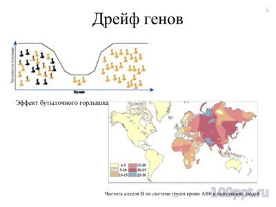 Презентация факторы микроэволюции - слайд 4 4 слайд презентации факторы микроэволюции