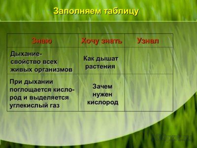 Презентация дыхание растений - слайд 3 3 слайд презентации дыхание растений