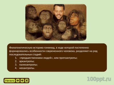 Презентация эволюция приматов - слайд 6 6 слайд презентации эволюция приматов