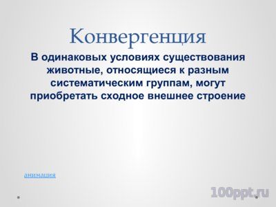Презентация конвергенция, дивергенция и параллелизм - слайд 3 3 слайд презентации конвергенция, дивергенция и параллелизм