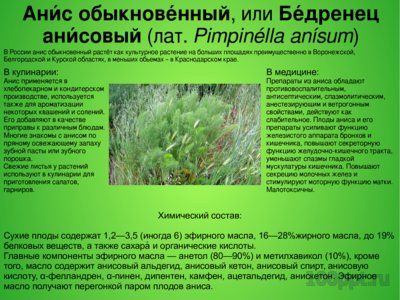 Презентация лекарственные и ядовитые растения среди специй - слайд 3 3 слайд презентации лекарственные и ядовитые растения среди специй