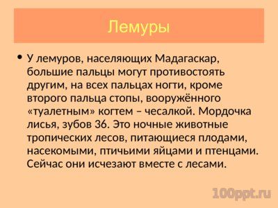 Презентация отряд приматы - слайд 2 2 слайд презентации отряд приматы